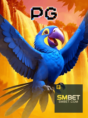 SMBET bônus — cashback 15 por cento e níveis VIP