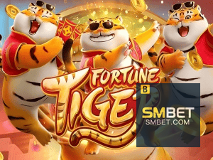 Guia install APK SMBET BR